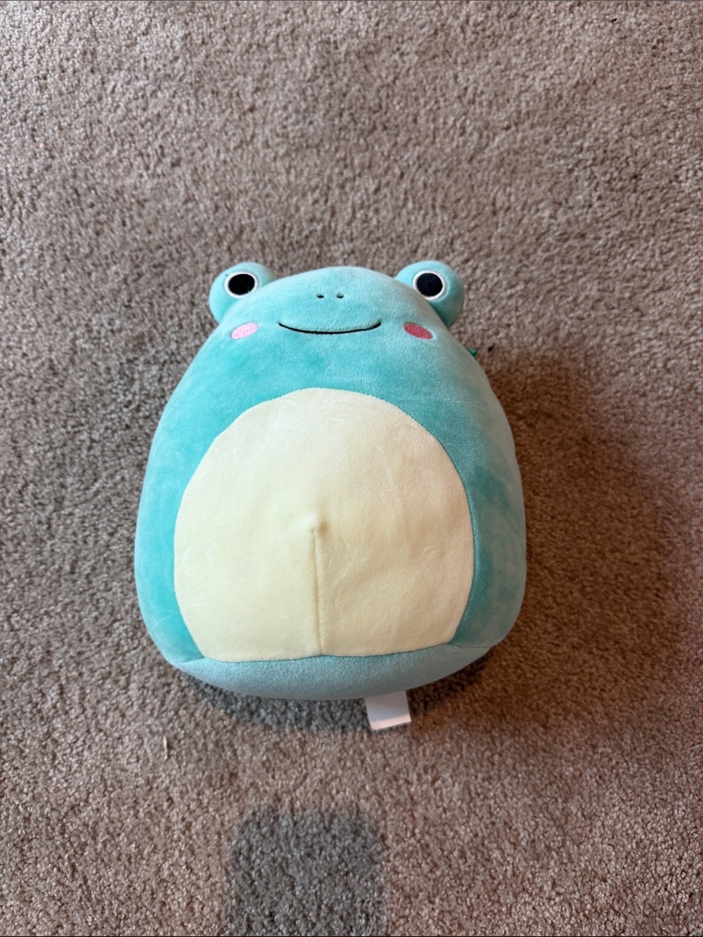 Ludwig The Frog Squishmallow! So cute & great condition!